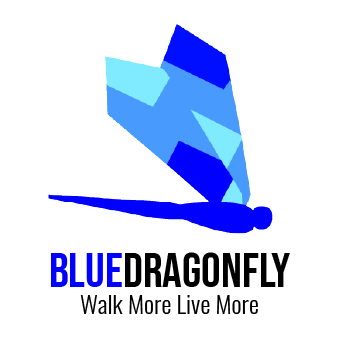 BlueDragonFlyBalm-logo-2024.png